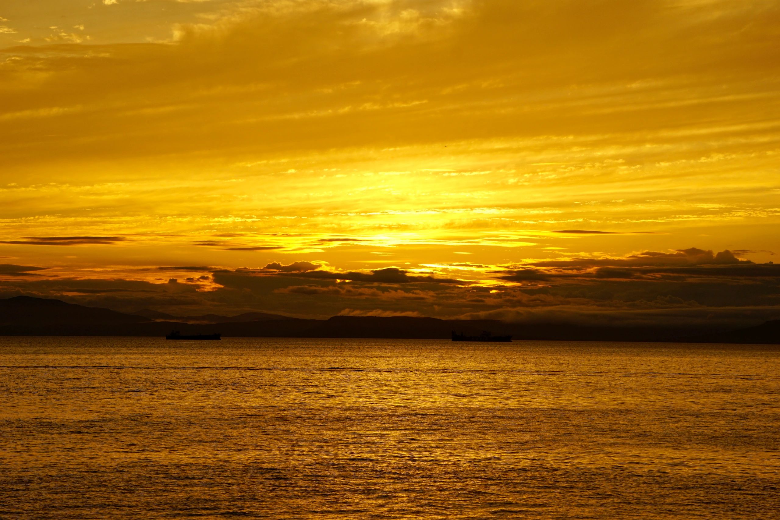 Cargo ships at sea representing international export logistics